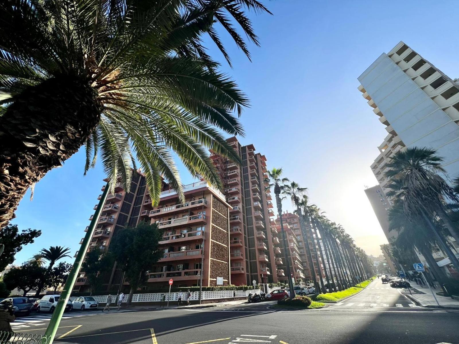 Ocean Breeze Oasis In Puerto De La Cruz Lejlighed Eksteriør billede